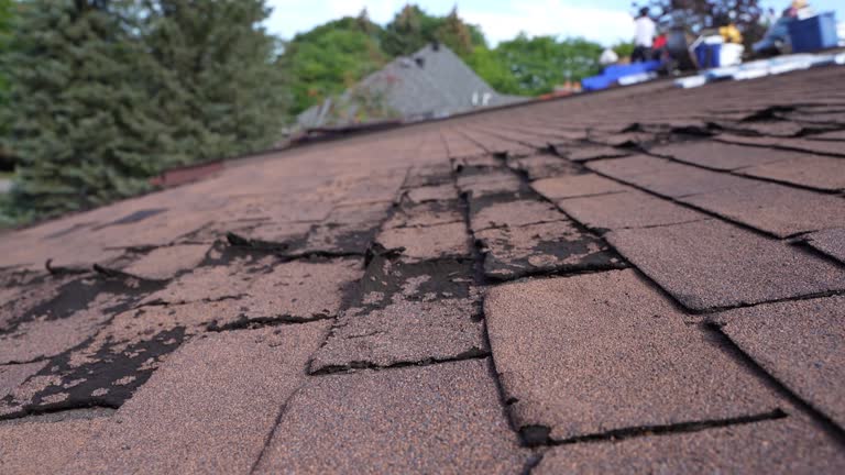 Best Cold Roofs  in Shallowater, TX