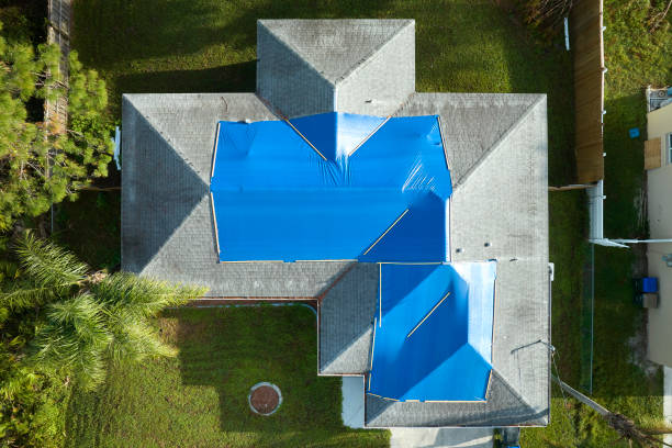 Best Roof Moss and Algae Removal  in Shallowater, TX
